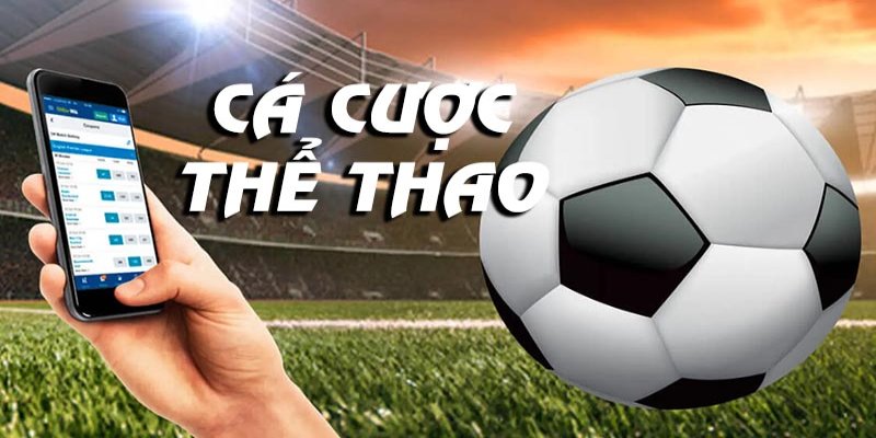 Theo dõi diễn biến của trận đấu trong quá trình cá cược