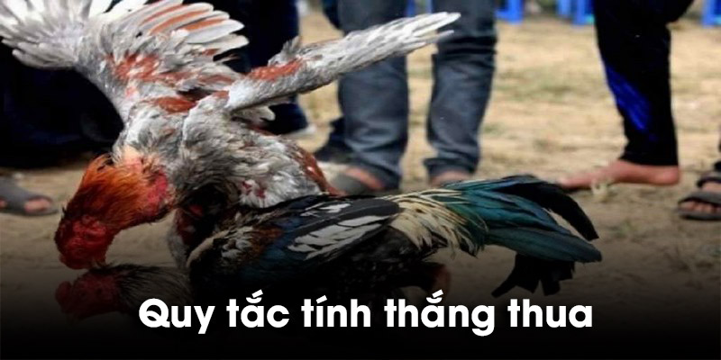 Quy tắc tính thắng thua